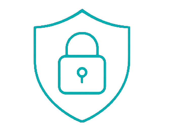 Vehicle Custody Service